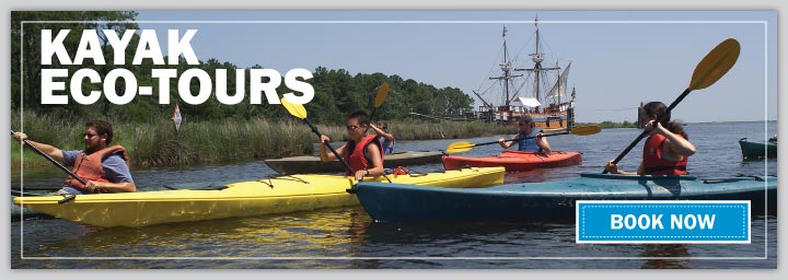 Kayak Eco-Tours