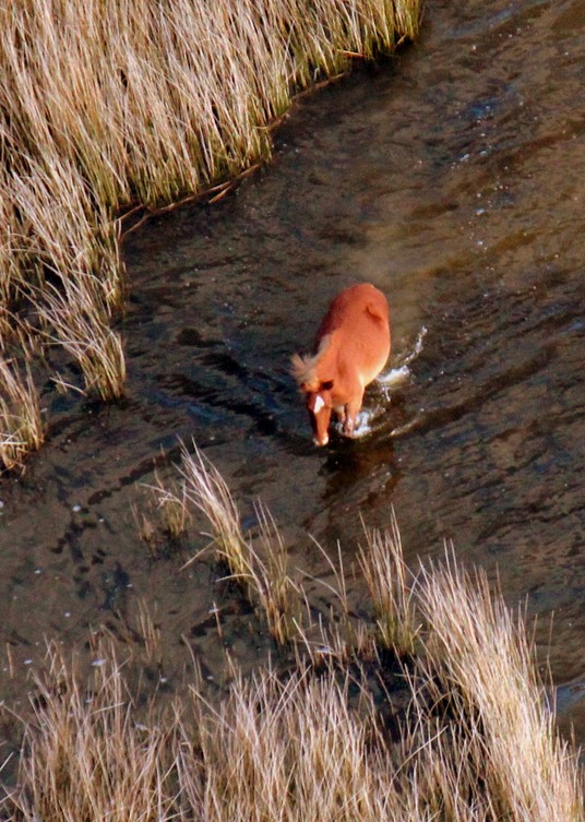 Airplane Tours on the Outer Banks North Carolina Kitty Hawk Kites